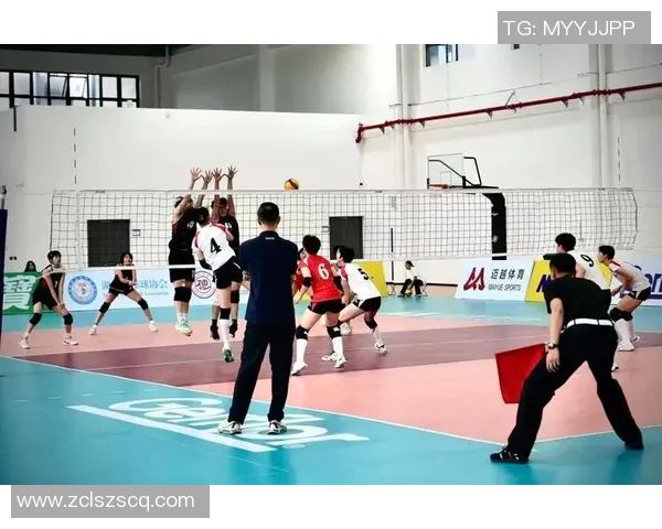 上海排球队的精神面貌与团队意识深度解析