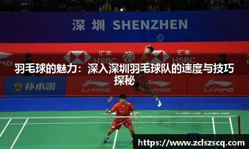羽毛球的魅力：深入深圳羽毛球队的速度与技巧探秘