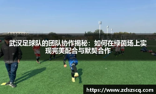 威廉希尔williamhill